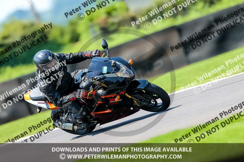 PJ Motorsport Photography 2020;anglesey;brands hatch;cadwell park;croft;donington park;enduro digital images;event digital images;eventdigitalimages;mallory;no limits;oulton park;peter wileman photography;racing digital images;silverstone;snetterton;trackday digital images;trackday photos;vmcc banbury run;welsh 2 day enduro